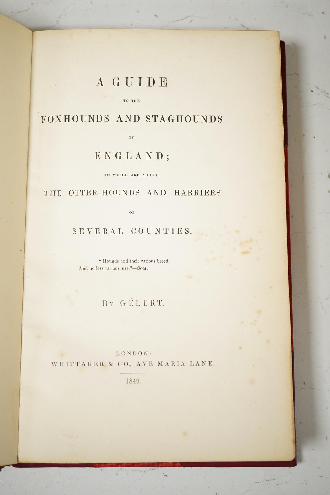 Gelert - A Guide to the Foxhounds and Staghounds of England; to which are added, the Otter-Hounds and Harriers of Several Counties. earlier 20th cent. red half calf and cloth, gilt decorated panelled spine, gilt top and